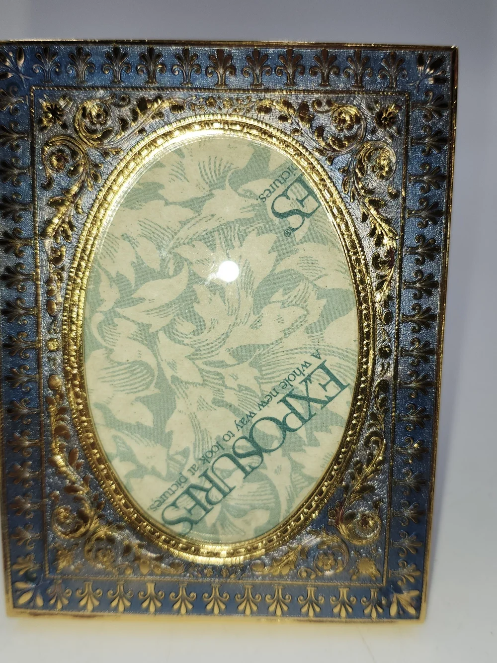 Expressions Gold & Blue Ornate Oval Picture Frame - Home Accents